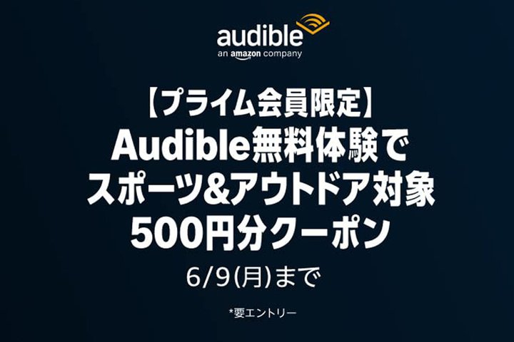 Amazon̕ǏuAudiblevA1̌500~N[|v[g